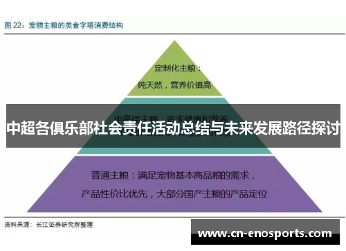 中超各俱乐部社会责任活动总结与未来发展路径探讨