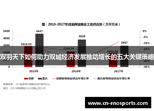 双羽天下如何助力双城经济发展推动增长的五大关键策略