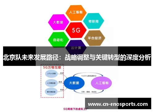 北京队未来发展路径：战略调整与关键转型的深度分析
