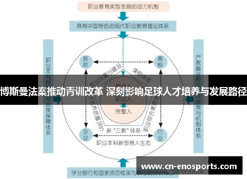 博斯曼法案推动青训改革 深刻影响足球人才培养与发展路径